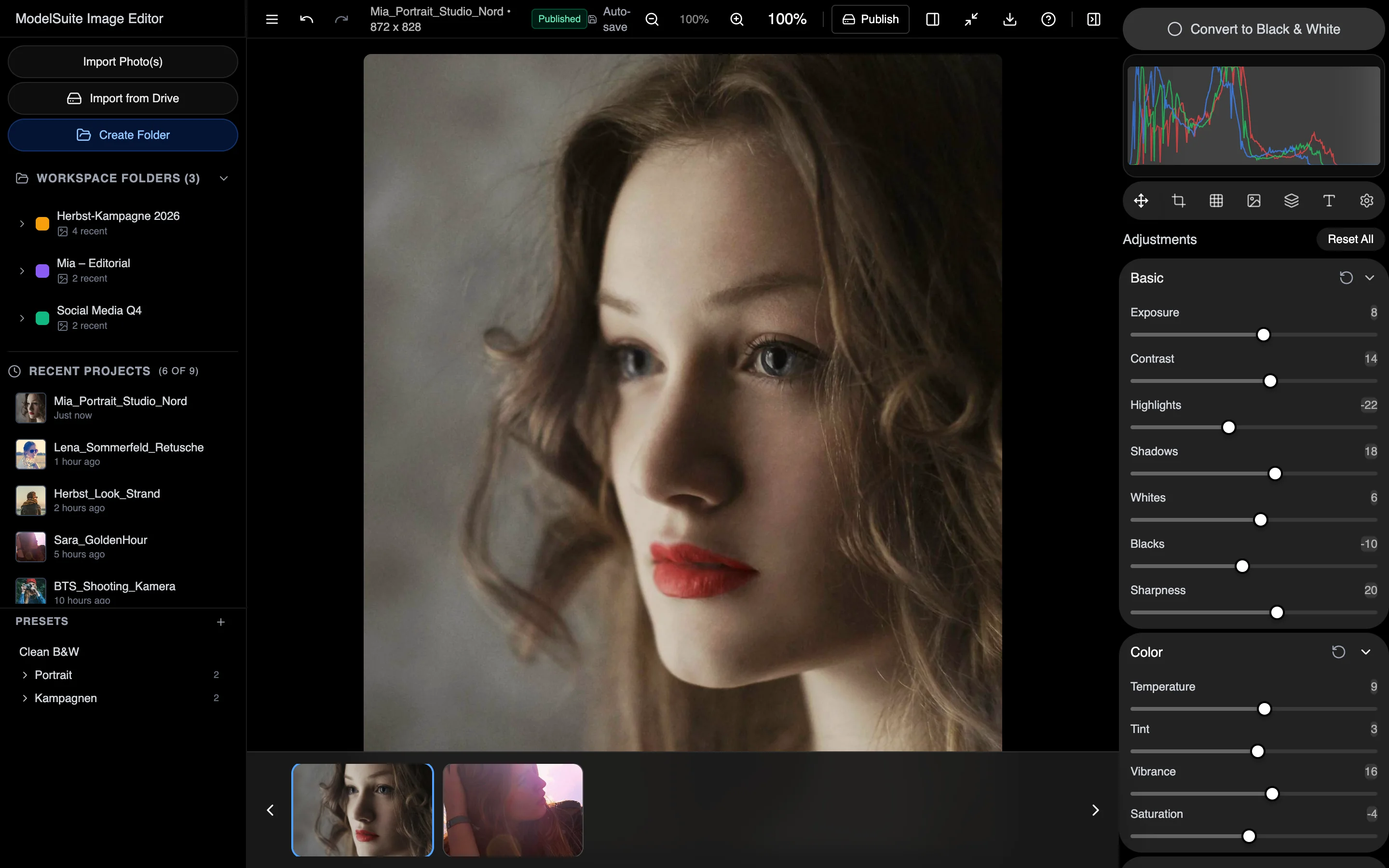 ModelSuite Image Editor
